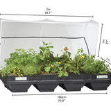Large Raised Garden Bed with Garden Cover