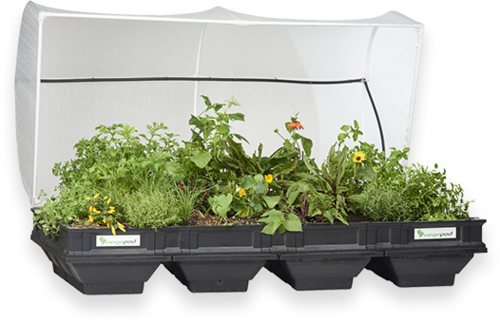 Large Raised Garden Bed