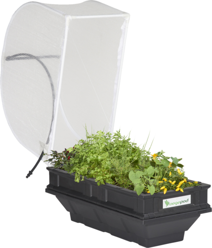 Small Raised Garden Bed