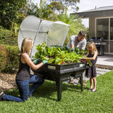 Medium Raised Garden Bed with Garden Cover